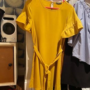 SHEIN Ruffle sleeve dress